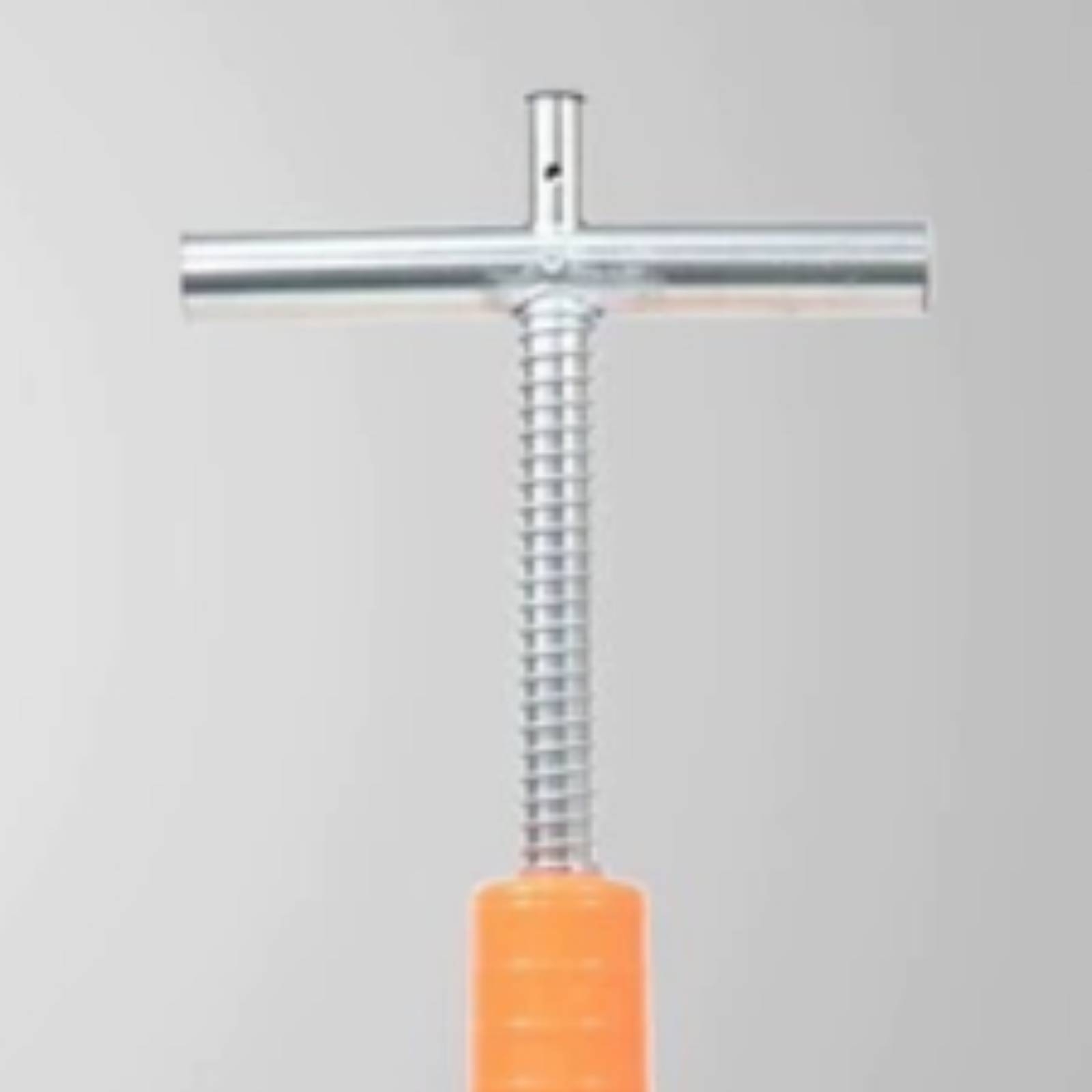 Nutrition & Fitness Hub Photos - Fertilizer Applicator with T Handle Pointed