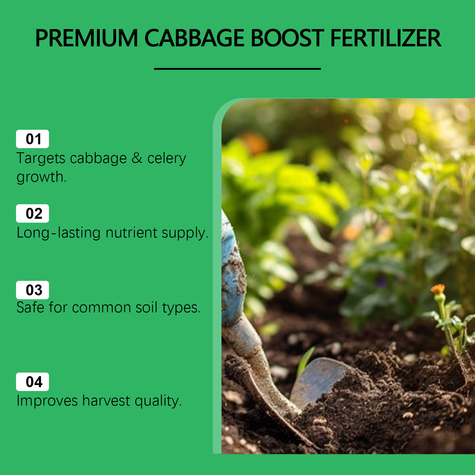 Indoor Outdoor Vegetable Growt - Nutrition & Fitness Hub Photos review and price